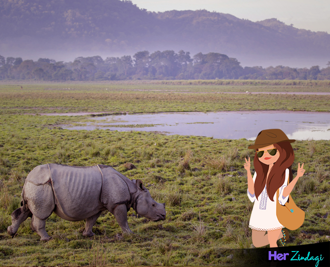 काजीरंगा woman traveling solo in india kaziranga national park
